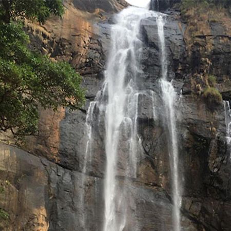 Coastal Grand Mahendravanam - Kolli Hills Exteriör bild