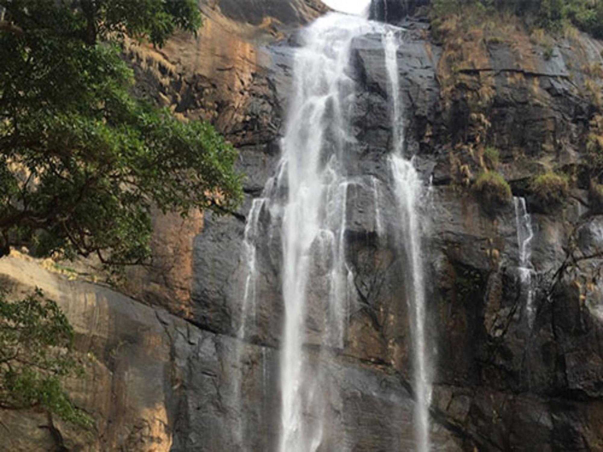 Coastal Grand Mahendravanam - Kolli Hills Exteriör bild