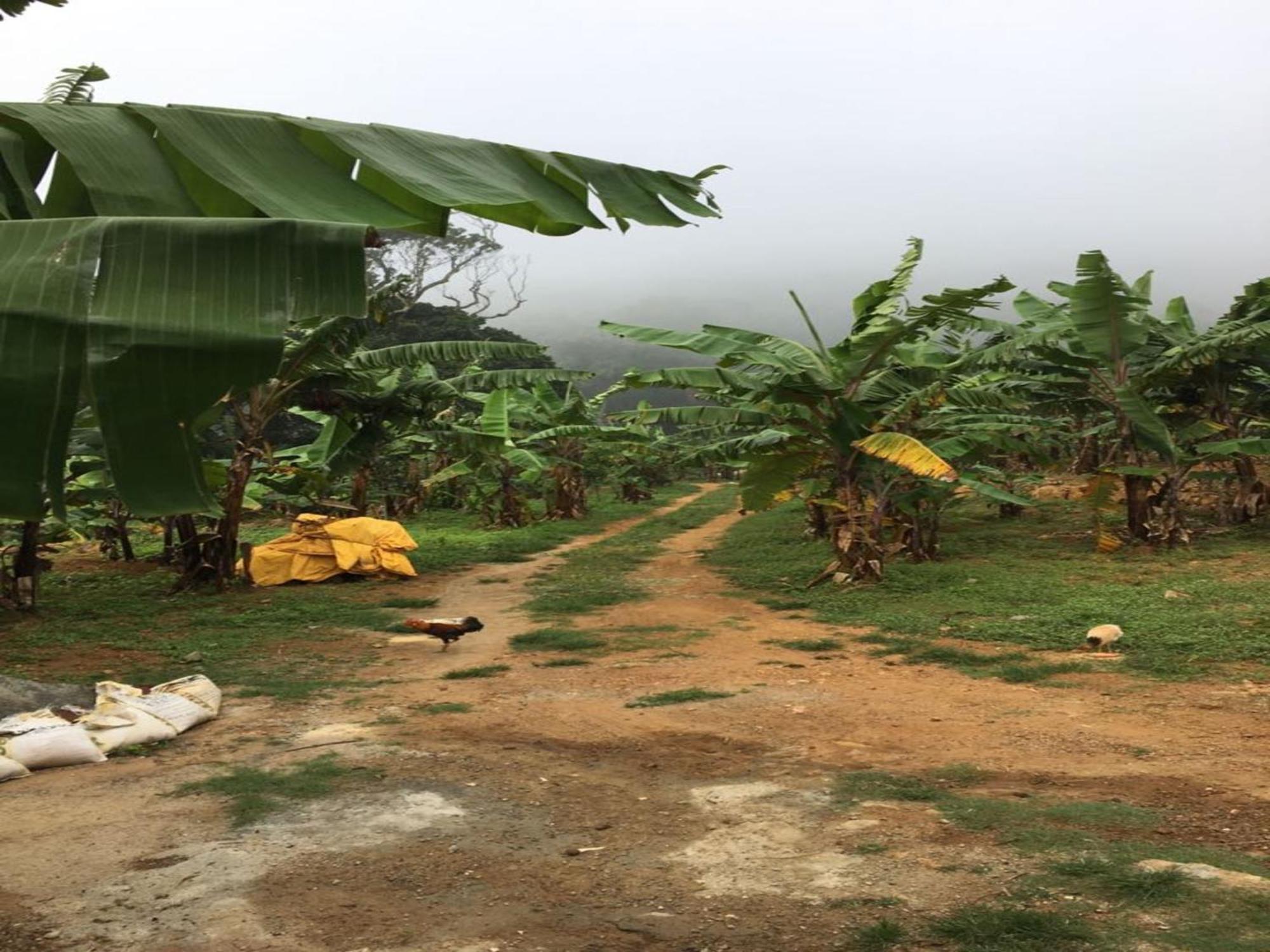 Coastal Grand Mahendravanam - Kolli Hills Exteriör bild